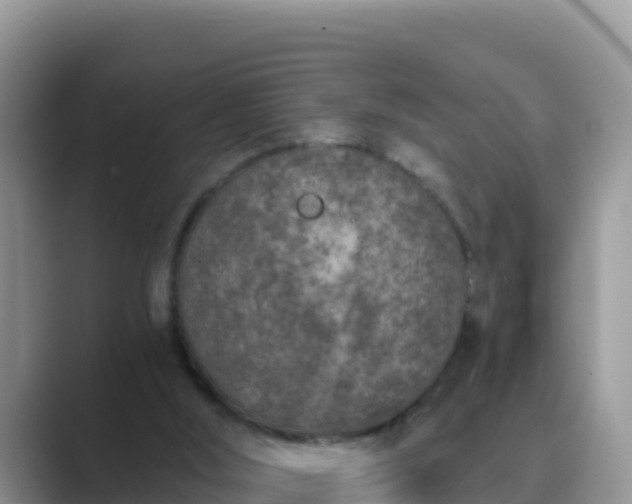 X0000089830012200707051047