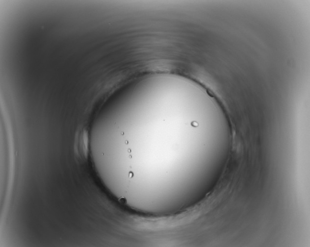 X0000089830013200707051047