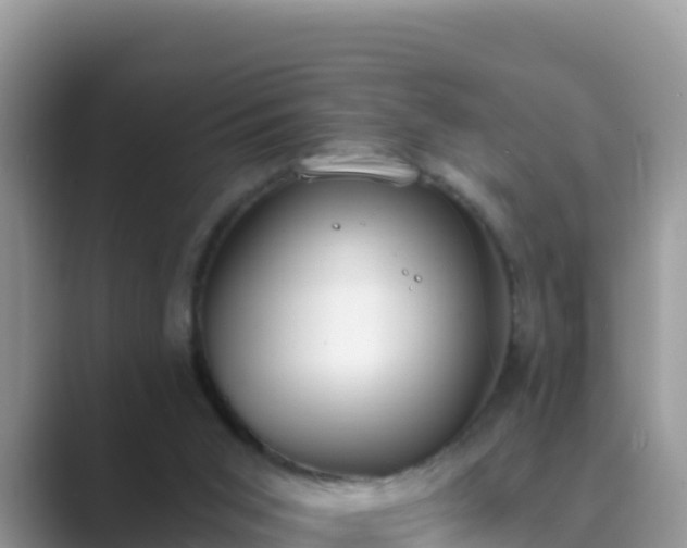 X0000089830015200707051047