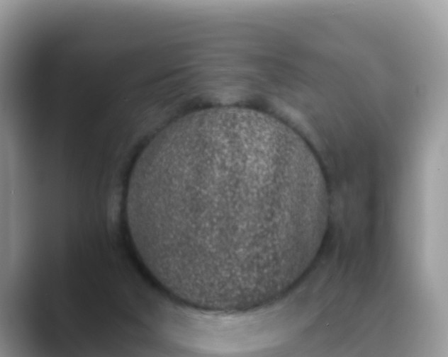 X0000089830018200707051047