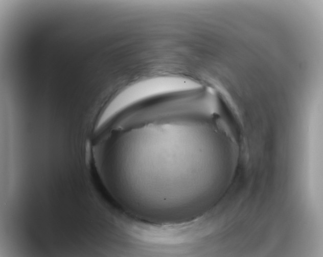 X0000089830019200707051047