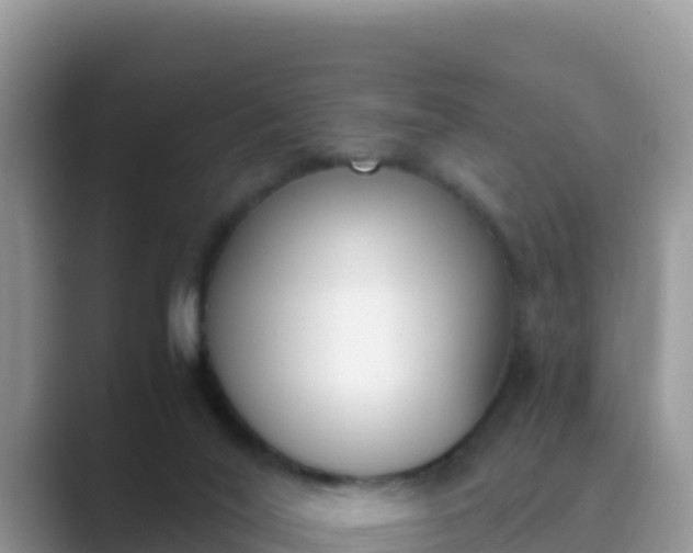 X0000089830020200707051047