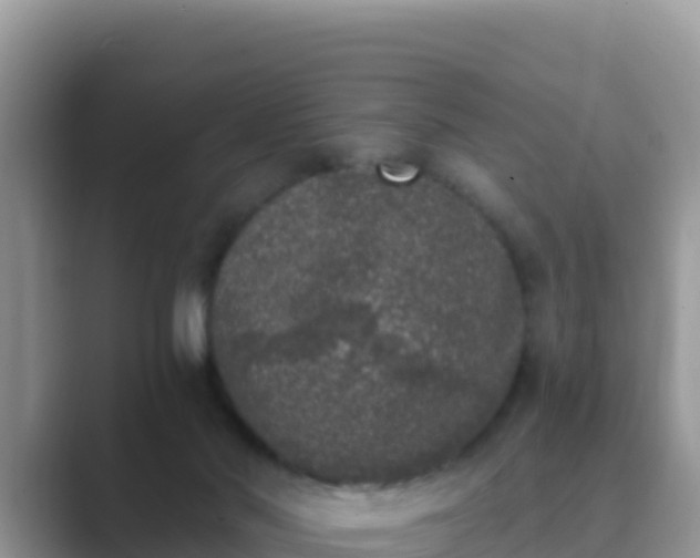 X0000089830022200707051047