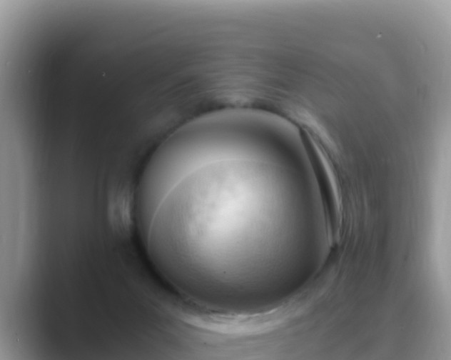 X0000089830023200707051047