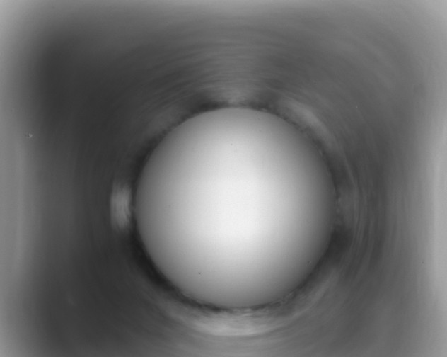 X0000089830024200707051047