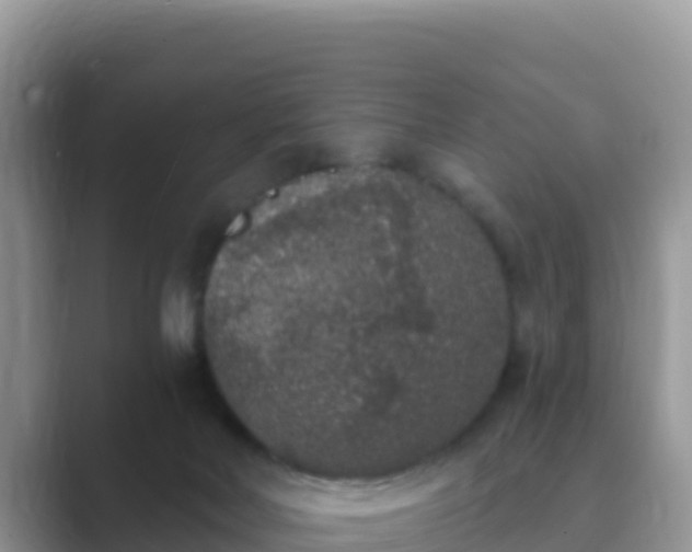 X0000089830026200707051047