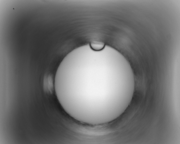 X0000089830028200707051047