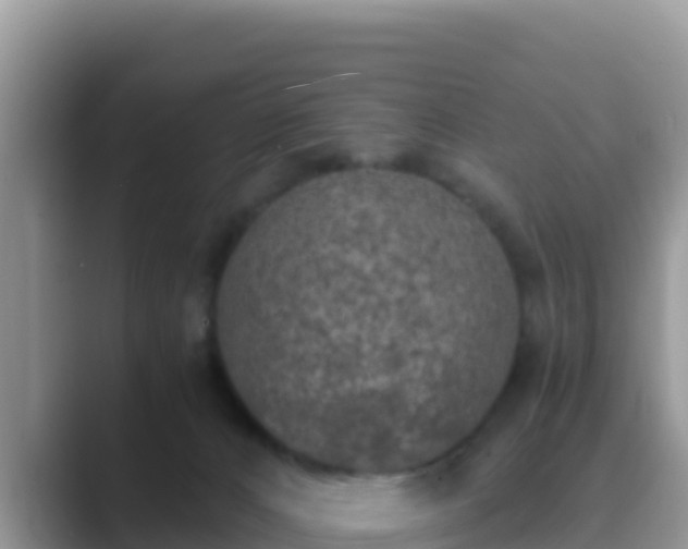 X0000089830032200707051046