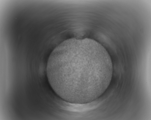 X0000089830034200707051046