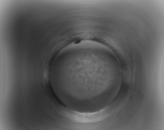 X0000089830035200707051046