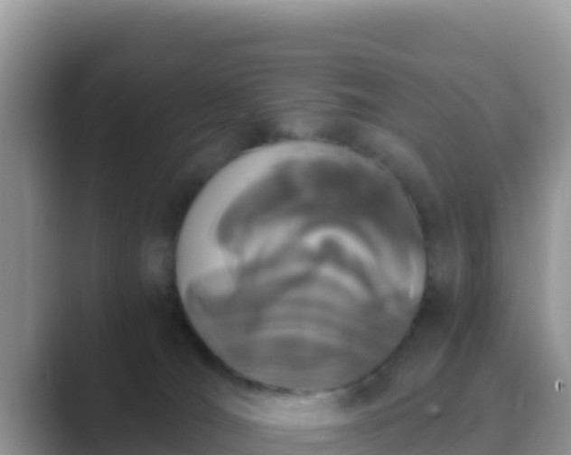 X0000089830036200707051046