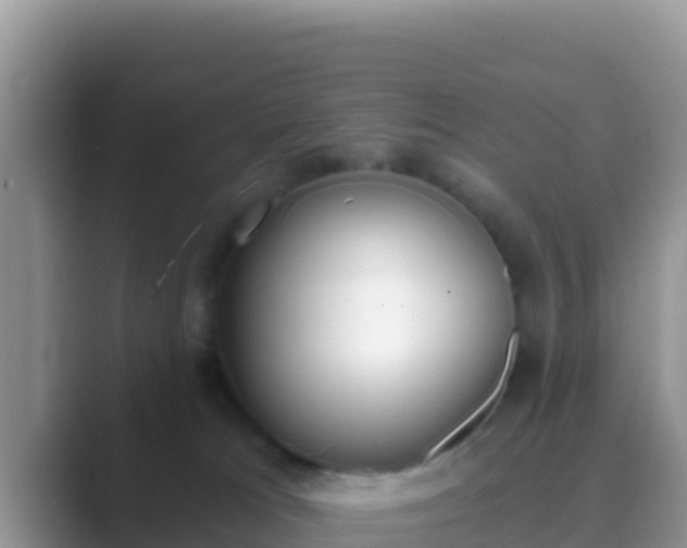 X0000089830037200707051046