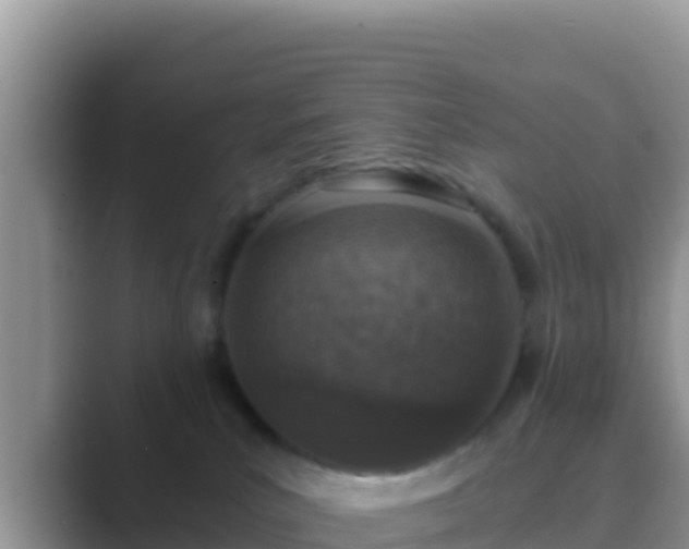 X0000089830039200707051046