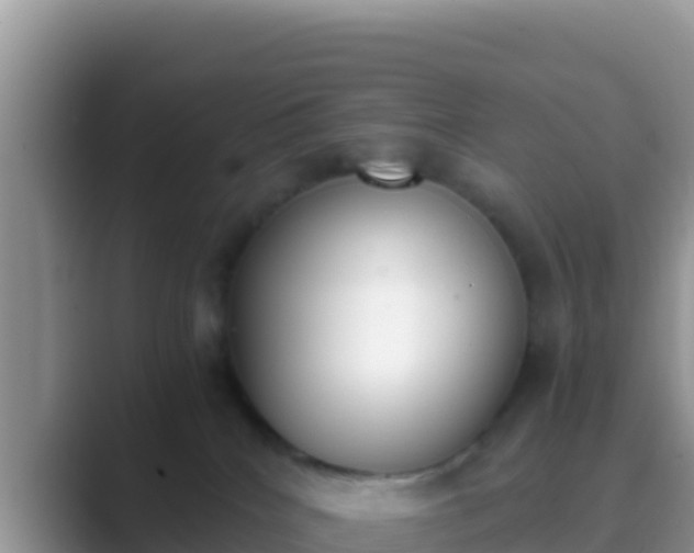 X0000089830040200707051046