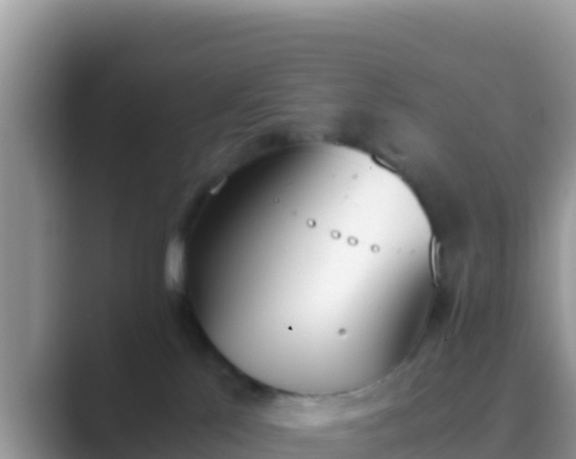 X0000089830041200707051046