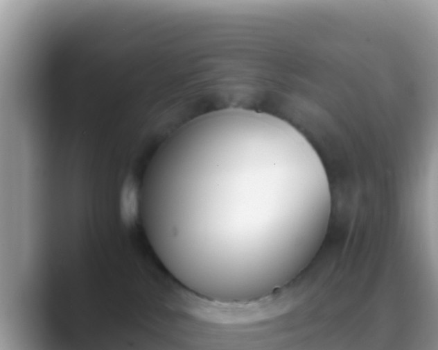 X0000089830042200707051046