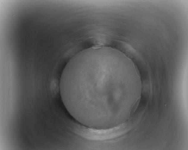 X0000089830043200707051046