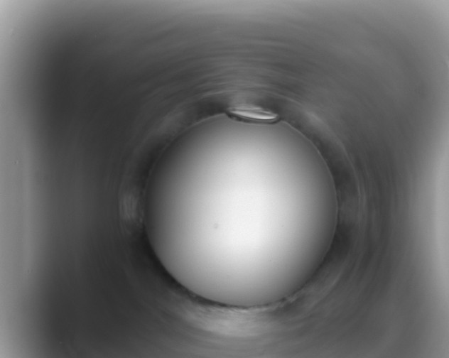 X0000089830044200707051046