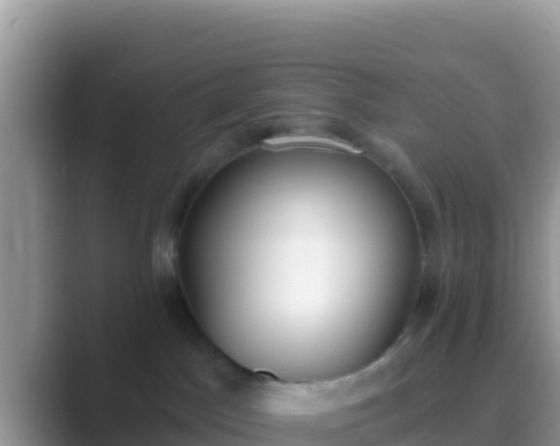 X0000089830045200707051046