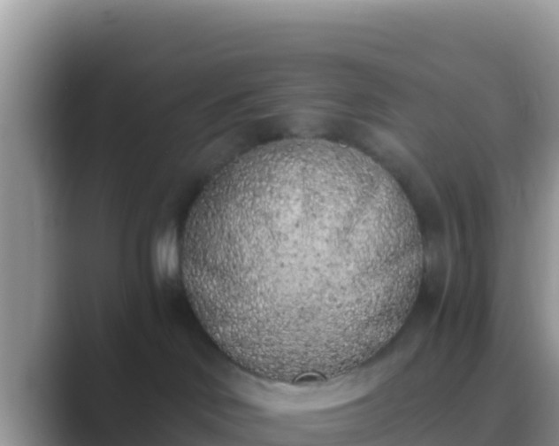 X0000089830046200707051046