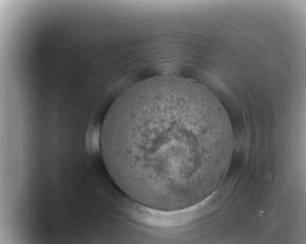 X0000089830047200707051046