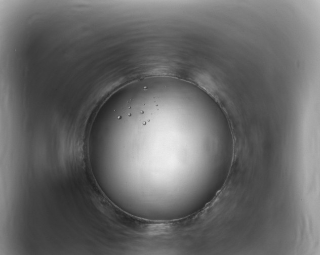 X0000089830050200707051046