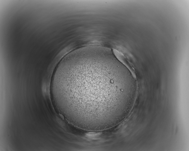 X0000089830051200707051046