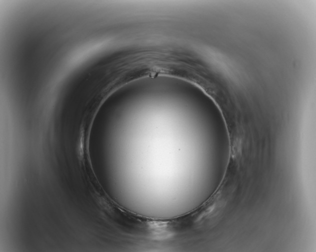 X0000089830052200707051046