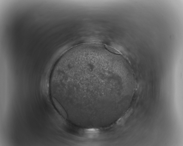 X0000089830053200707051046