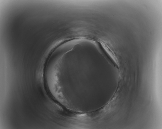 X0000089830054200707051046