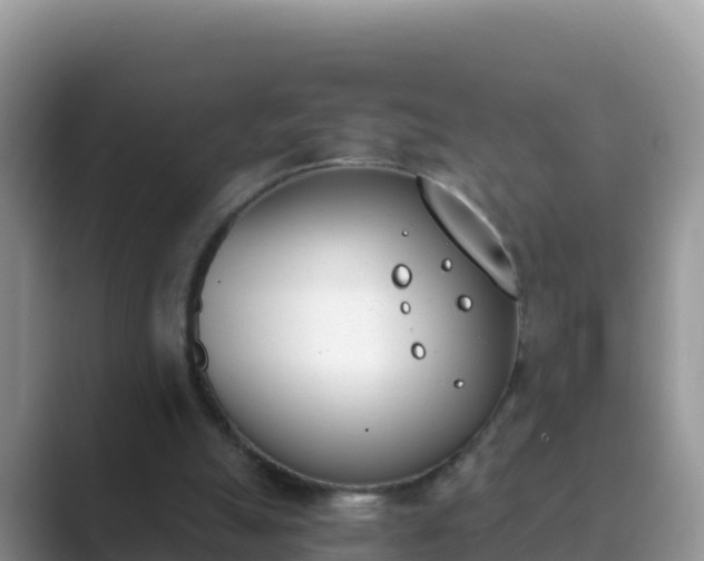 X0000089830055200707051046