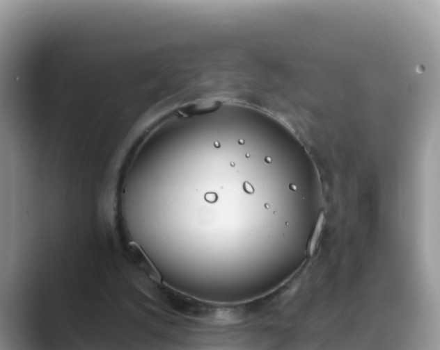 X0000089830056200707051046