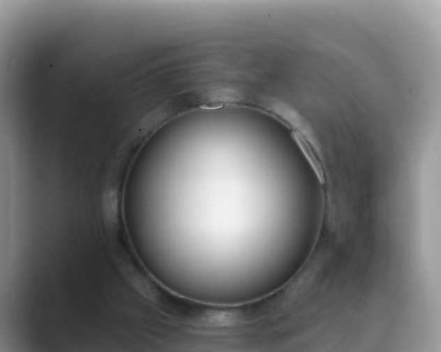 X0000089830057200707051046