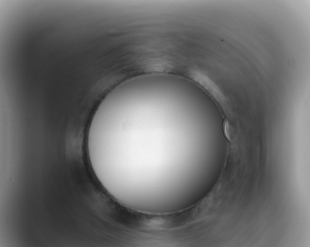 X0000089830058200707051046