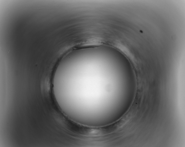 X0000089830060200707051046