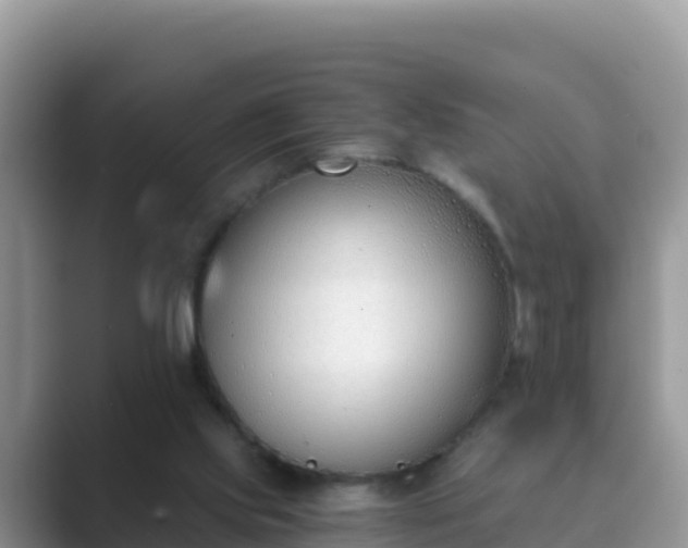 X0000089830061200707051046