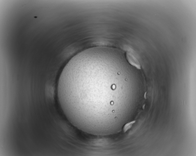 X0000089830063200707051046