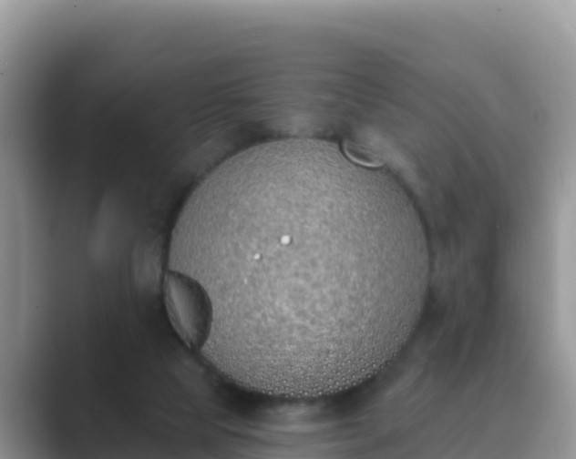 X0000089830065200707051046