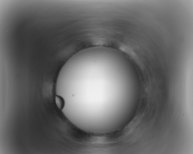 X0000089830066200707051046