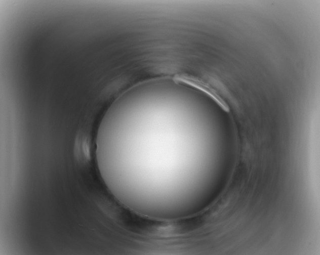 X0000089830068200707051046