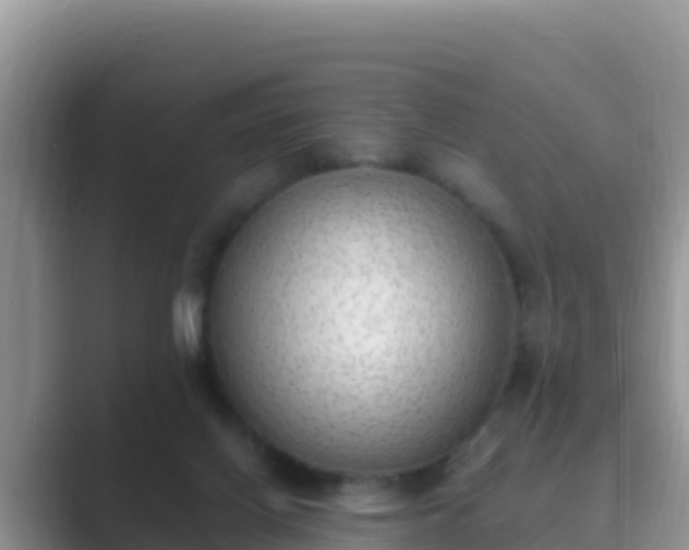 X0000089830070200707051046