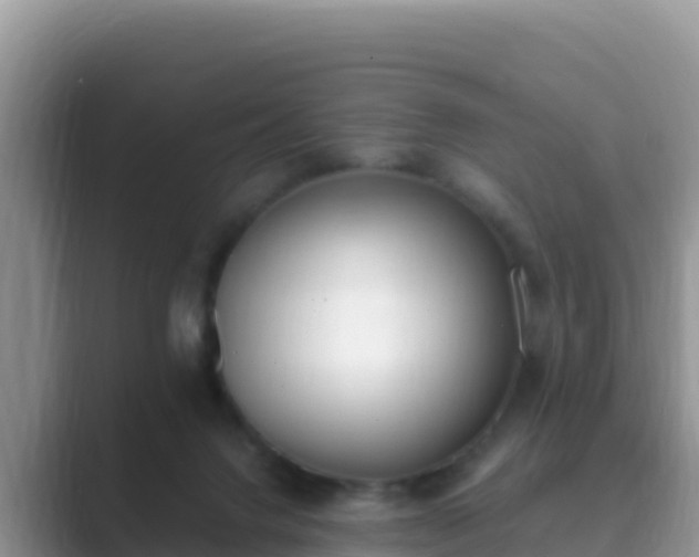 X0000089830072200707051046