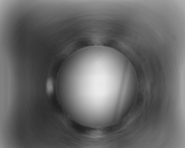 X0000089830075200707051046