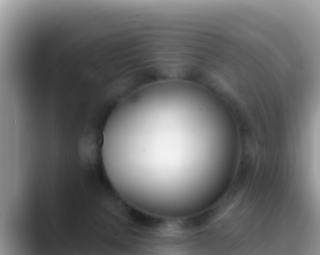 X0000089830080200707051046