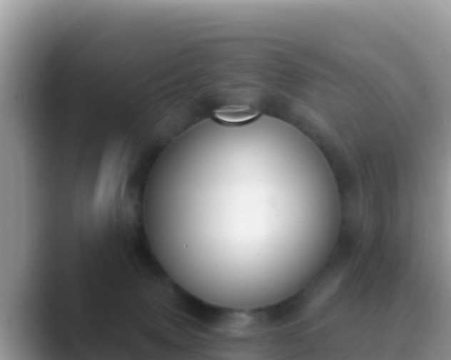 X0000089830083200707051046