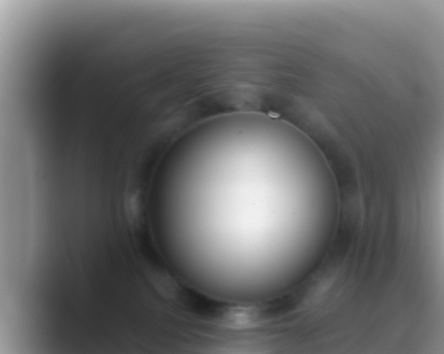 X0000089830088200707051046