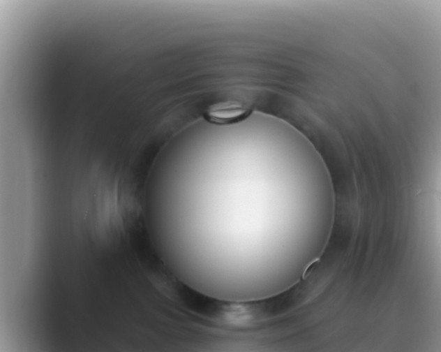 X0000089830091200707051046