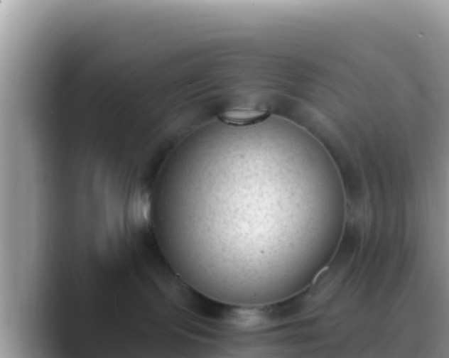 X0000089830095200707051046