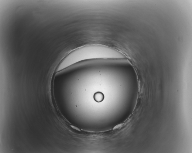 X0000089830099200707051046