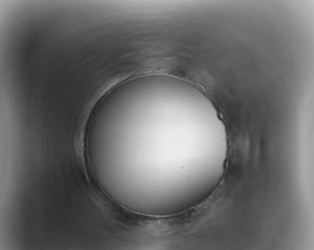 X0000089830100200707051046